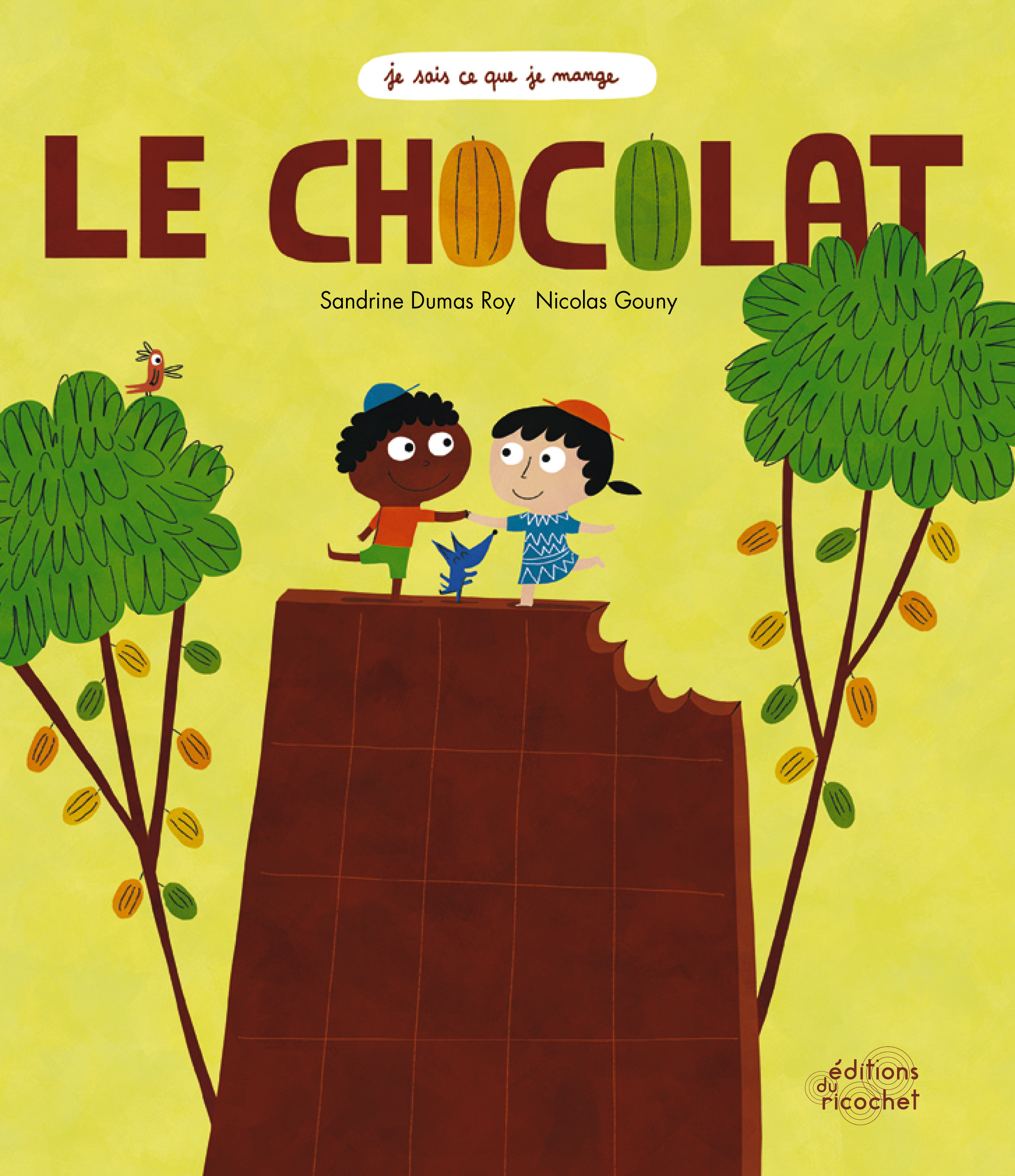 Le Chocolat - Le cacao, la gourmandise qui fait du bien !
